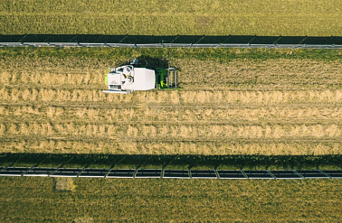 They have calculated the potential of agrivoltaics. Solar panels can generate electricity even in fields.